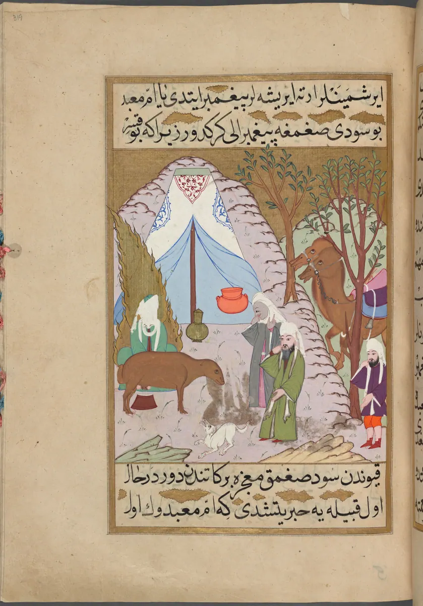 Hz. Muhammed’in Ümm Ma’bed’in sütsüz keçisini sağması — Mustafa Darîr, Siyer-i Nebî (Murad III nüshası, 1594-95), III. cilt minyatürü (New York Public Library)