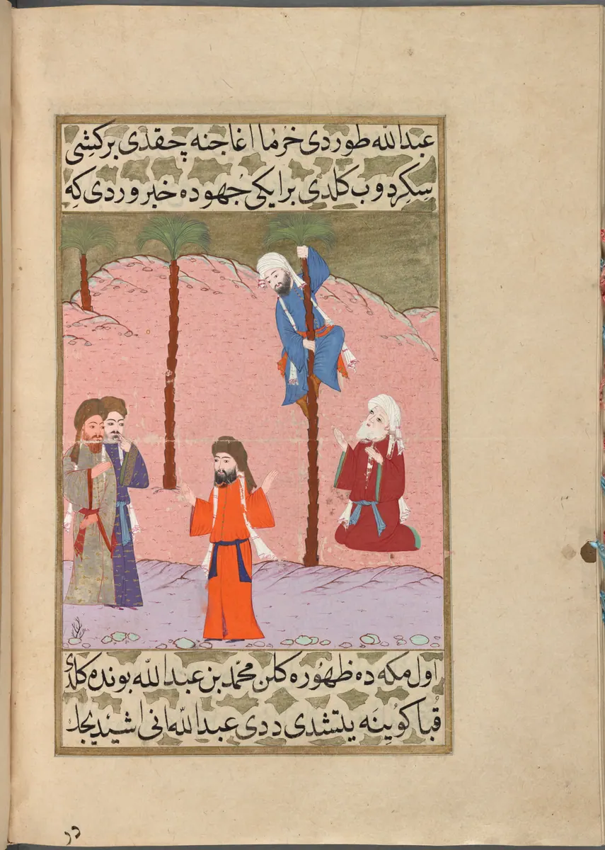 Abdullah b. Selâm’ın hurma ağacındayken Kubâ haberini alması — Mustafa Darîr, Siyer-i Nebî (Murad III nüshası, 1594-95), III. cilt minyatürü (New York Public Library)