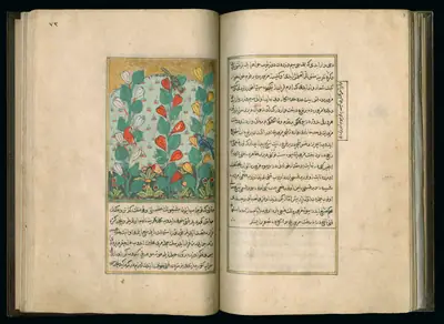 Târîh-i Hind-i Garbî (Târîh-i Yeni Dünyâ / Hadîs-i Nev), fol. master-pg037-038-flowers