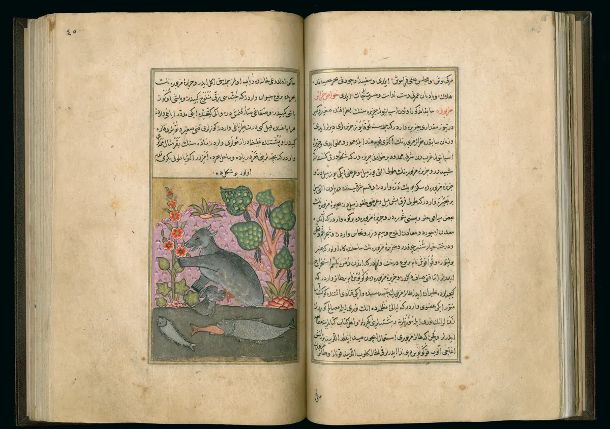 Târîh-i Hind-i Garbî (Târîh-i Yeni Dünyâ / Hadîs-i Nev), fol. master-pg065-066-animals. Newberry Library