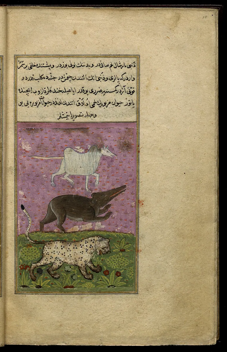 Târîh-i Hind-i Garbî (Târîh-i Yeni Dünyâ / Hadîs-i Nev), fol. view022. Newberry Library