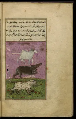 Târîh-i Hind-i Garbî (Târîh-i Yeni Dünyâ / Hadîs-i Nev), fol. view022