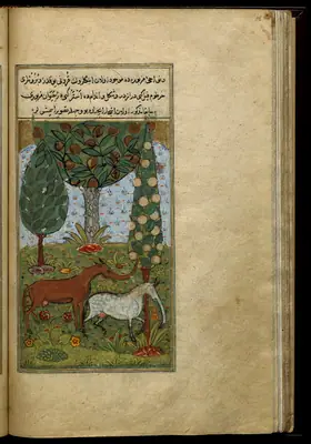 Târîh-i Hind-i Garbî (Târîh-i Yeni Dünyâ / Hadîs-i Nev), fol. view114