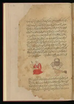 Wellcome MS Persian 373, Görsel 52