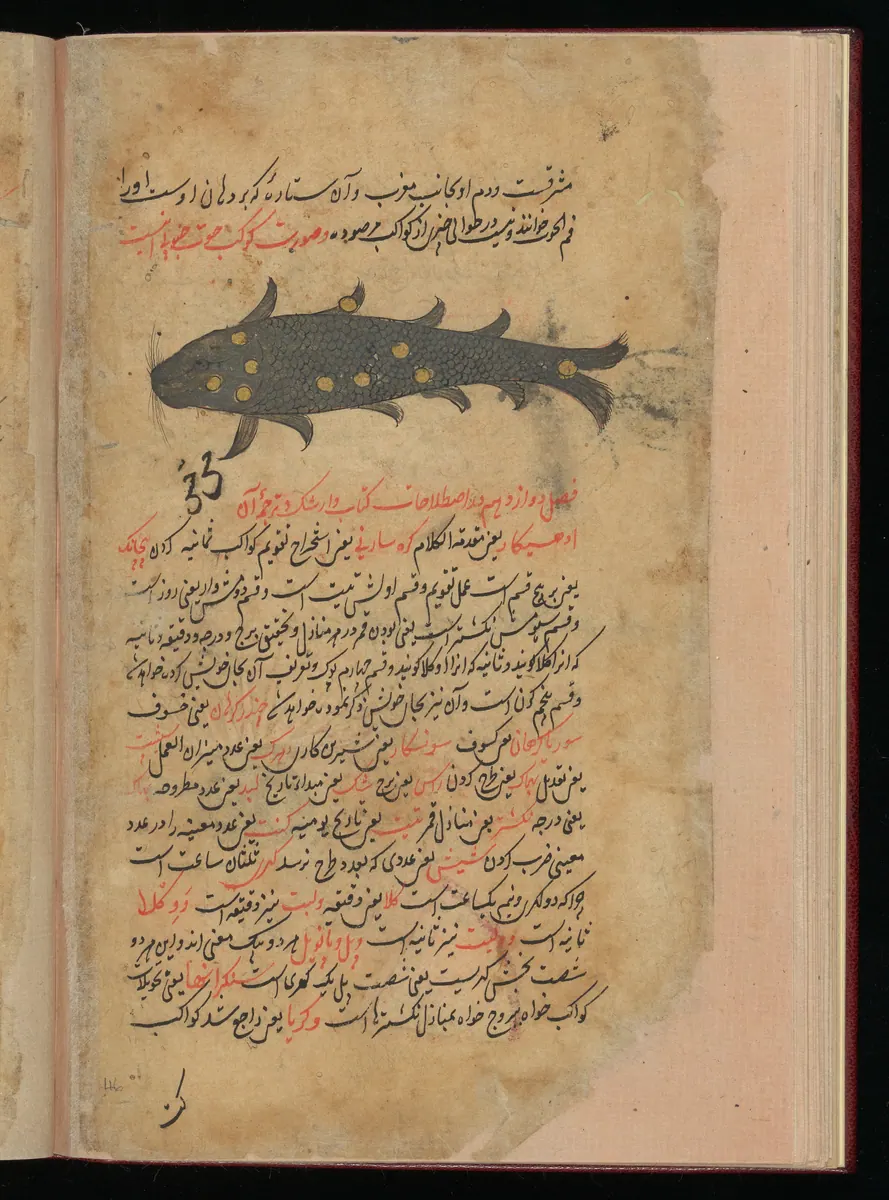 Wellcome MS Persian 373, Görsel 139. Wellcome Collection