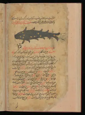 Wellcome MS Persian 373, Görsel 139
