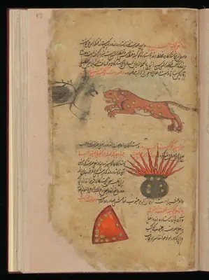 Wellcome MS Persian 373, Görsel 140