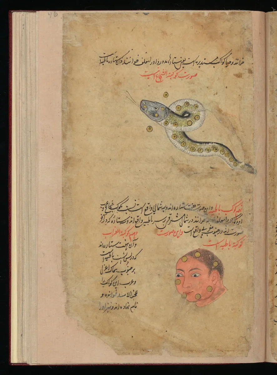 Wellcome MS Persian 373, Görsel 142. Wellcome Collection