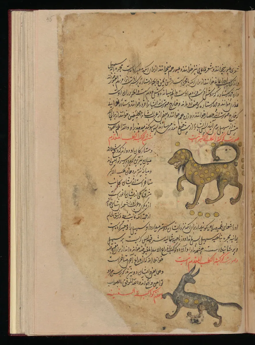 Wellcome MS Persian 373, Görsel 144. Wellcome Collection