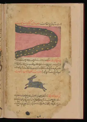 Wellcome MS Persian 373, Görsel 145