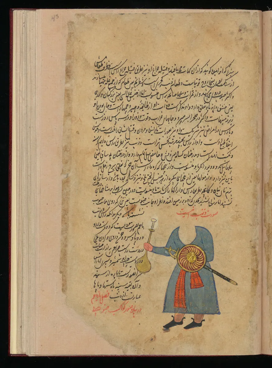 Wellcome MS Persian 373, Görsel 148. Wellcome Collection