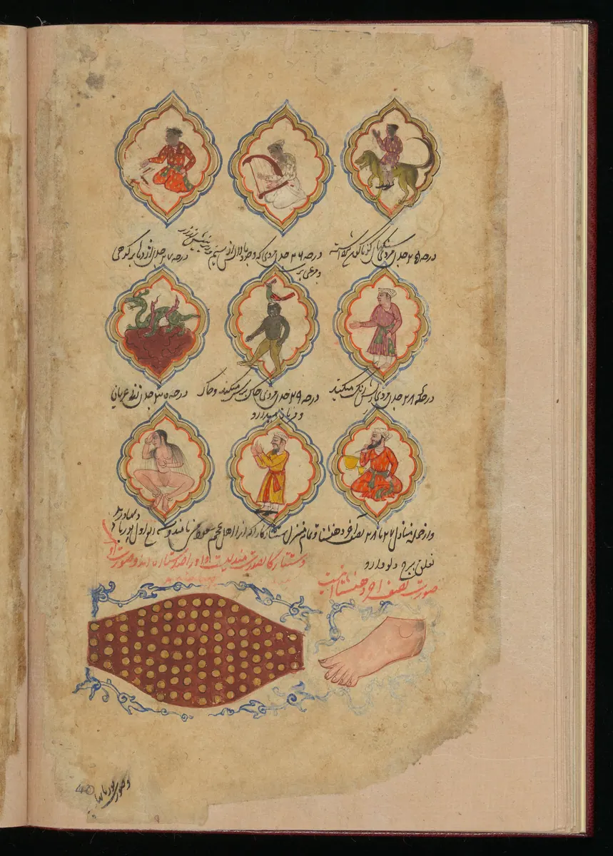 Wellcome MS Persian 373, Görsel 153. Wellcome Collection