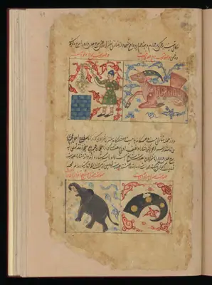 Wellcome MS Persian 373, Görsel 156