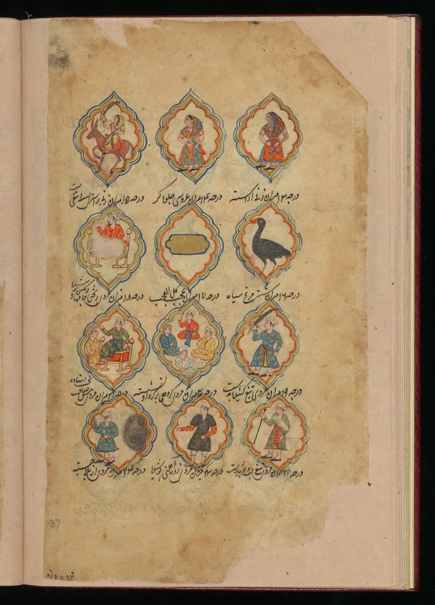 Wellcome MS Persian 373, Görsel 159. Wellcome Collection