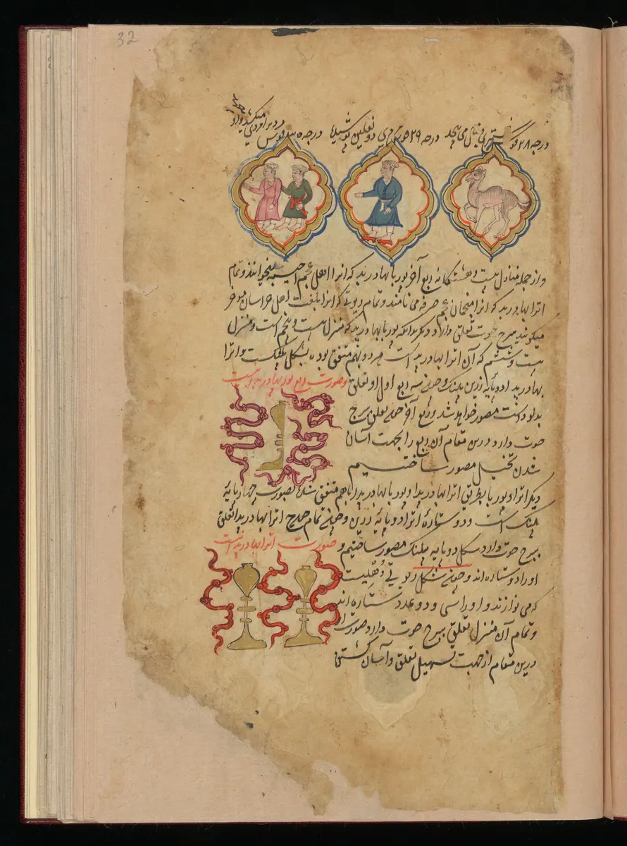 Wellcome MS Persian 373, Görsel 170. Wellcome Collection