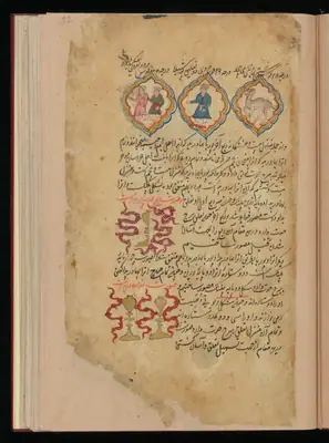 Wellcome MS Persian 373, Görsel 170