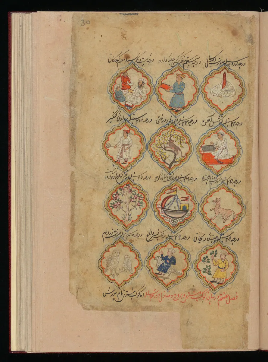 Wellcome MS Persian 373, Görsel 174. Wellcome Collection