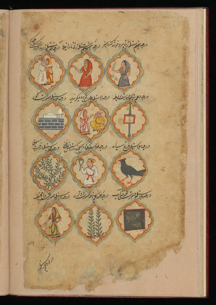Wellcome MS Persian 373, Görsel 175. Wellcome Collection