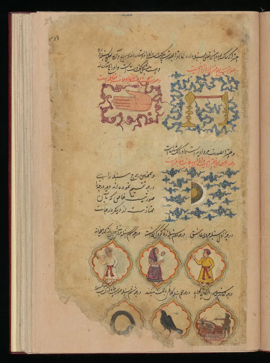 Wellcome MS Persian 373, Görsel 176. Wellcome Collection