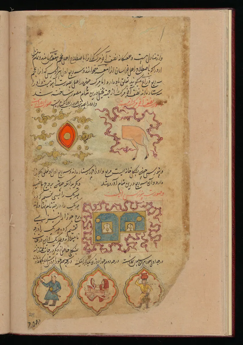 Wellcome MS Persian 373, Görsel 179. Wellcome Collection