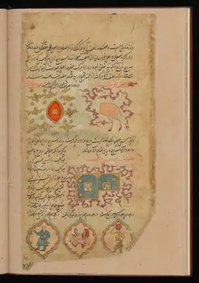 Wellcome MS Persian 373, Görsel 179