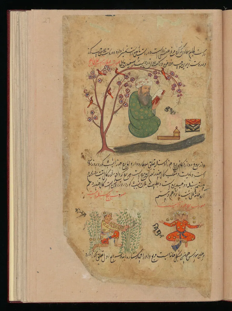 Wellcome MS Persian 373, Görsel 180. Wellcome Collection