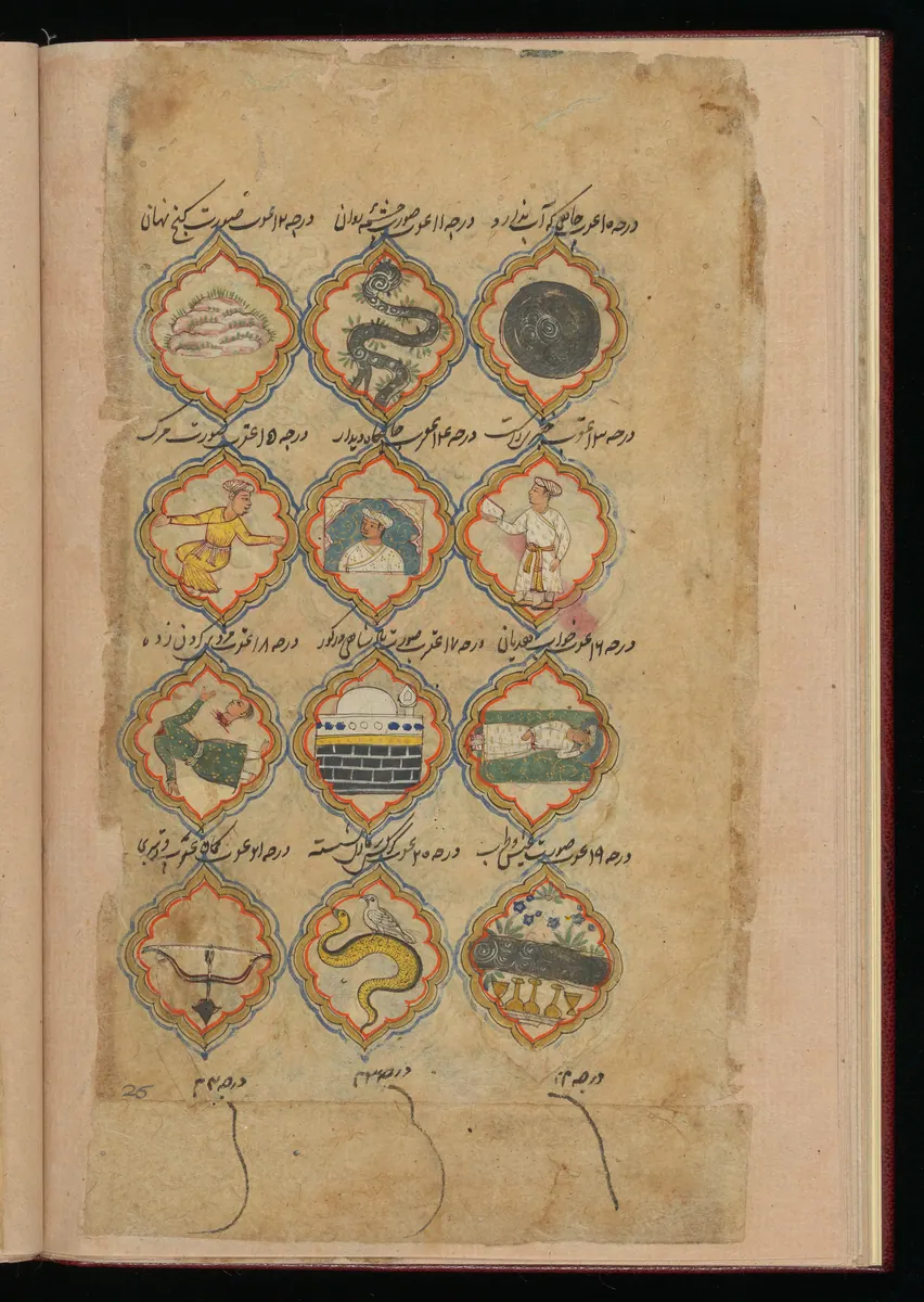 Wellcome MS Persian 373, Görsel 183. Wellcome Collection