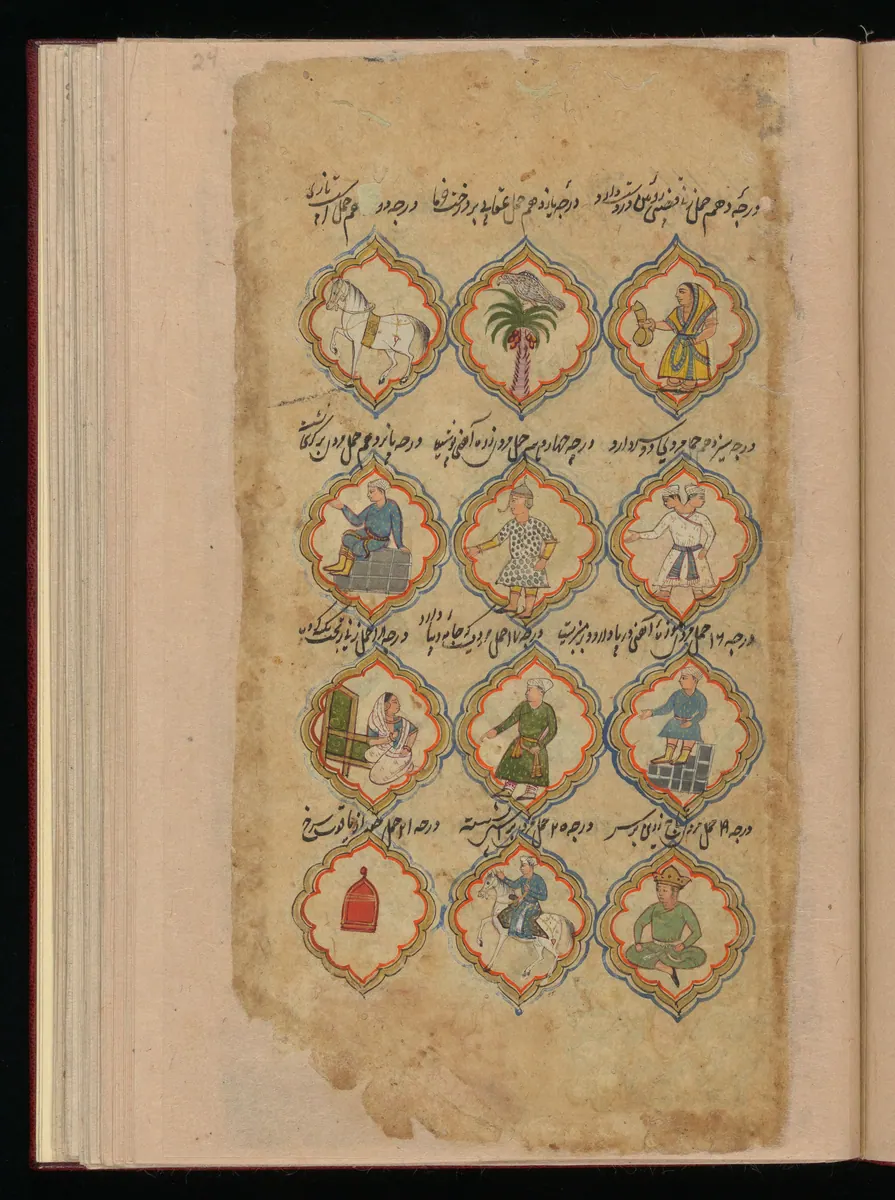 Wellcome MS Persian 373, Görsel 186. Wellcome Collection
