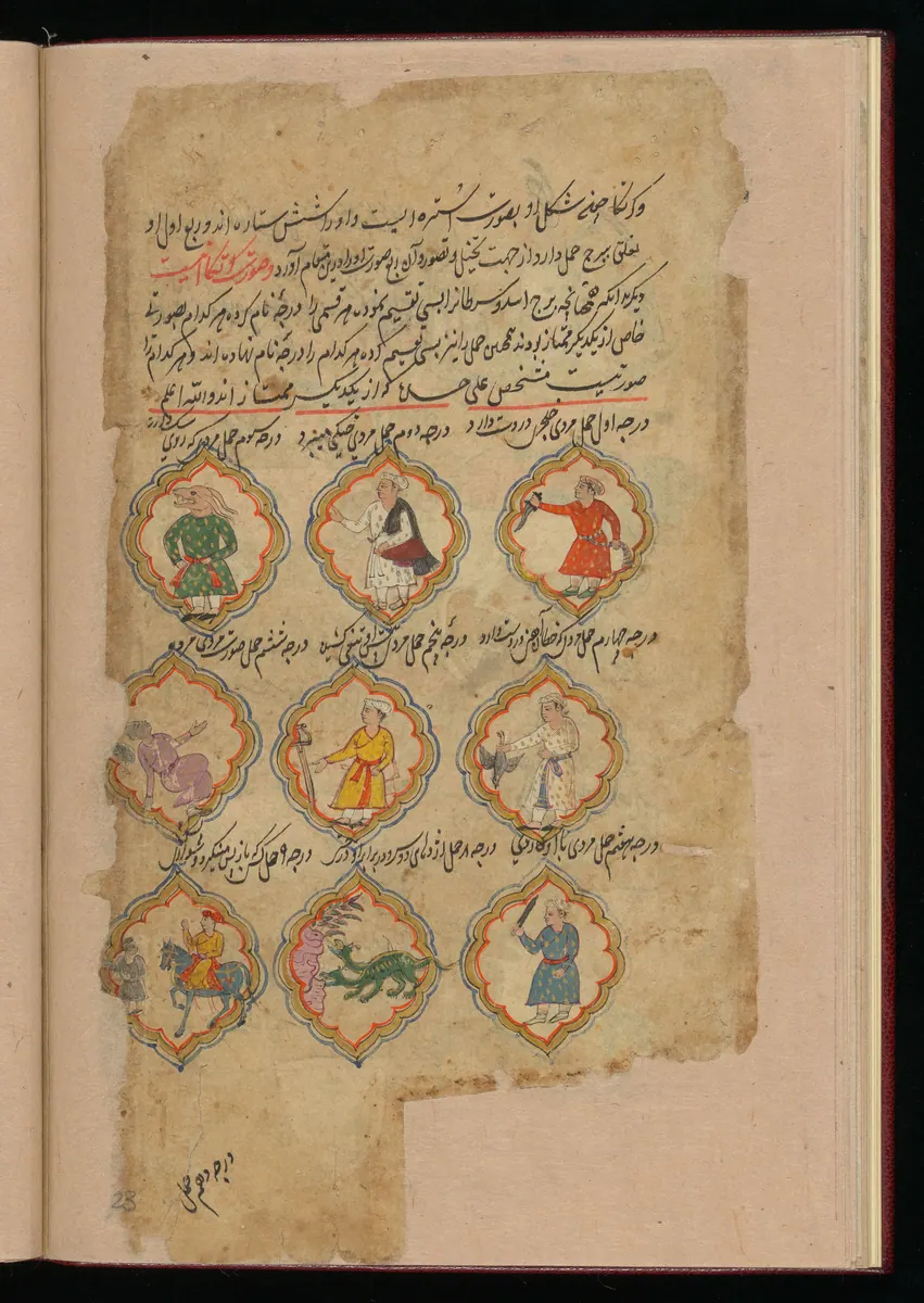 Wellcome MS Persian 373, Görsel 187. Wellcome Collection