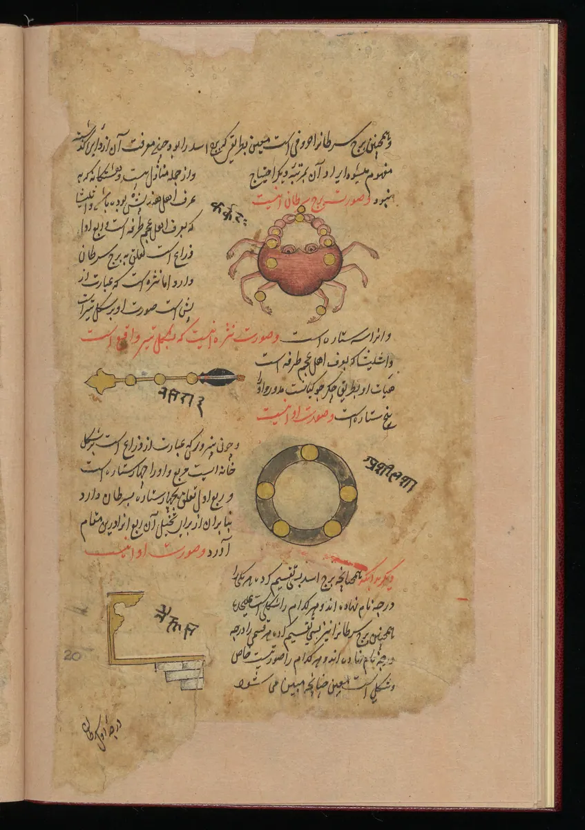 Wellcome MS Persian 373, Görsel 193. Wellcome Collection