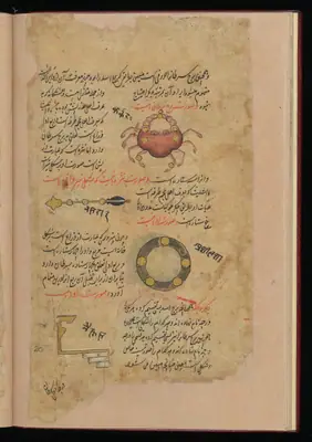 Wellcome MS Persian 373, Görsel 193