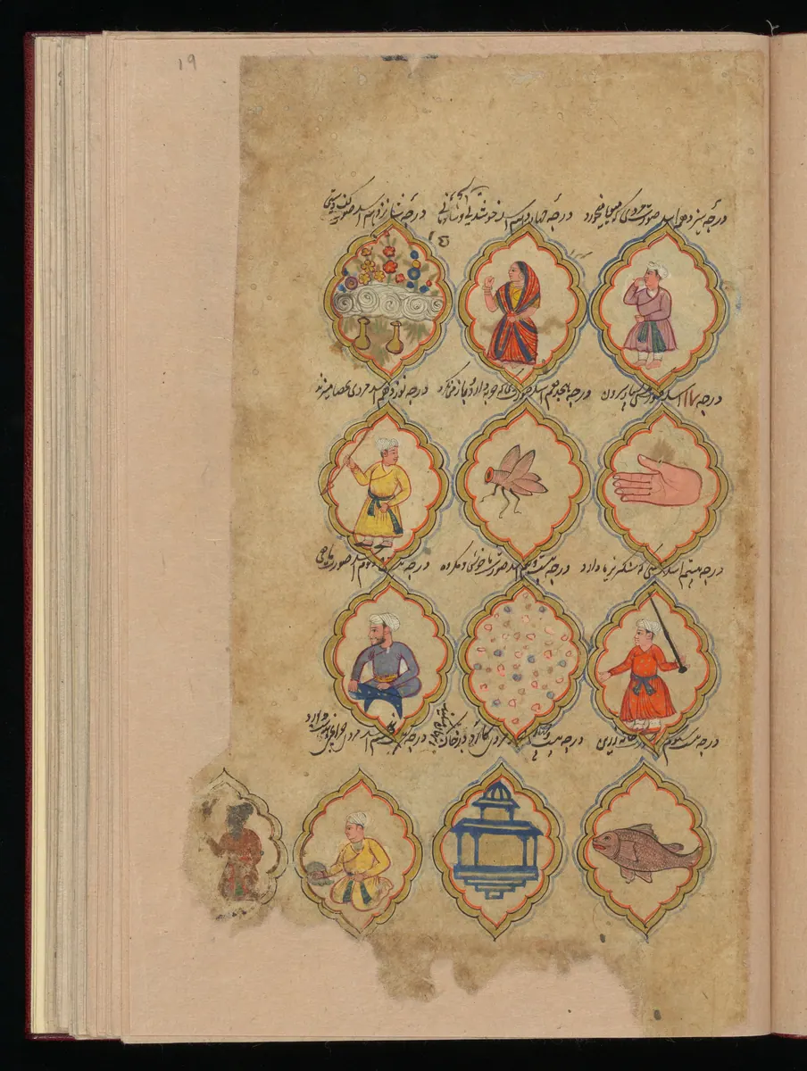Wellcome MS Persian 373, Görsel 196. Wellcome Collection