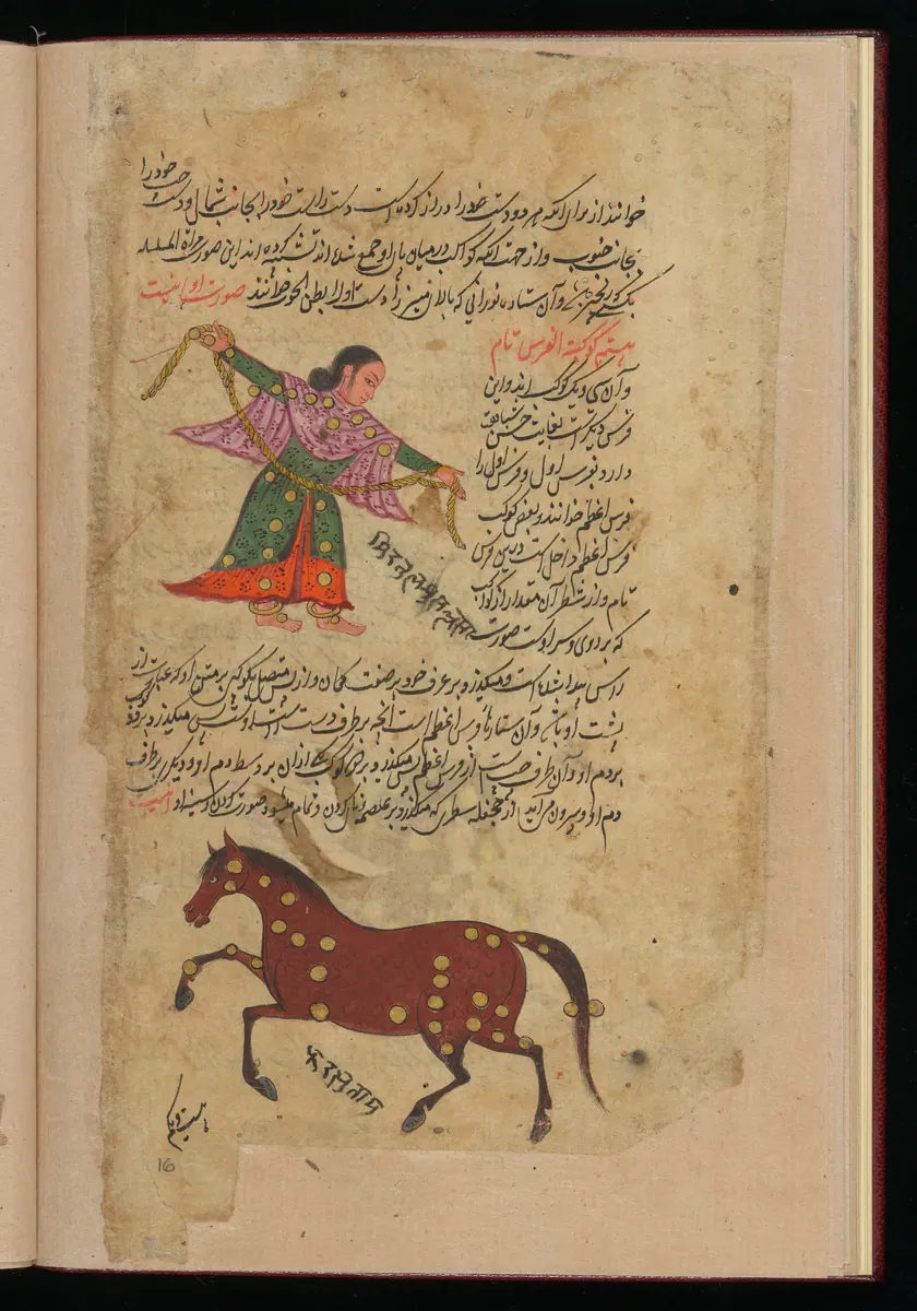 Wellcome MS Persian 373, Görsel 201. Wellcome Collection