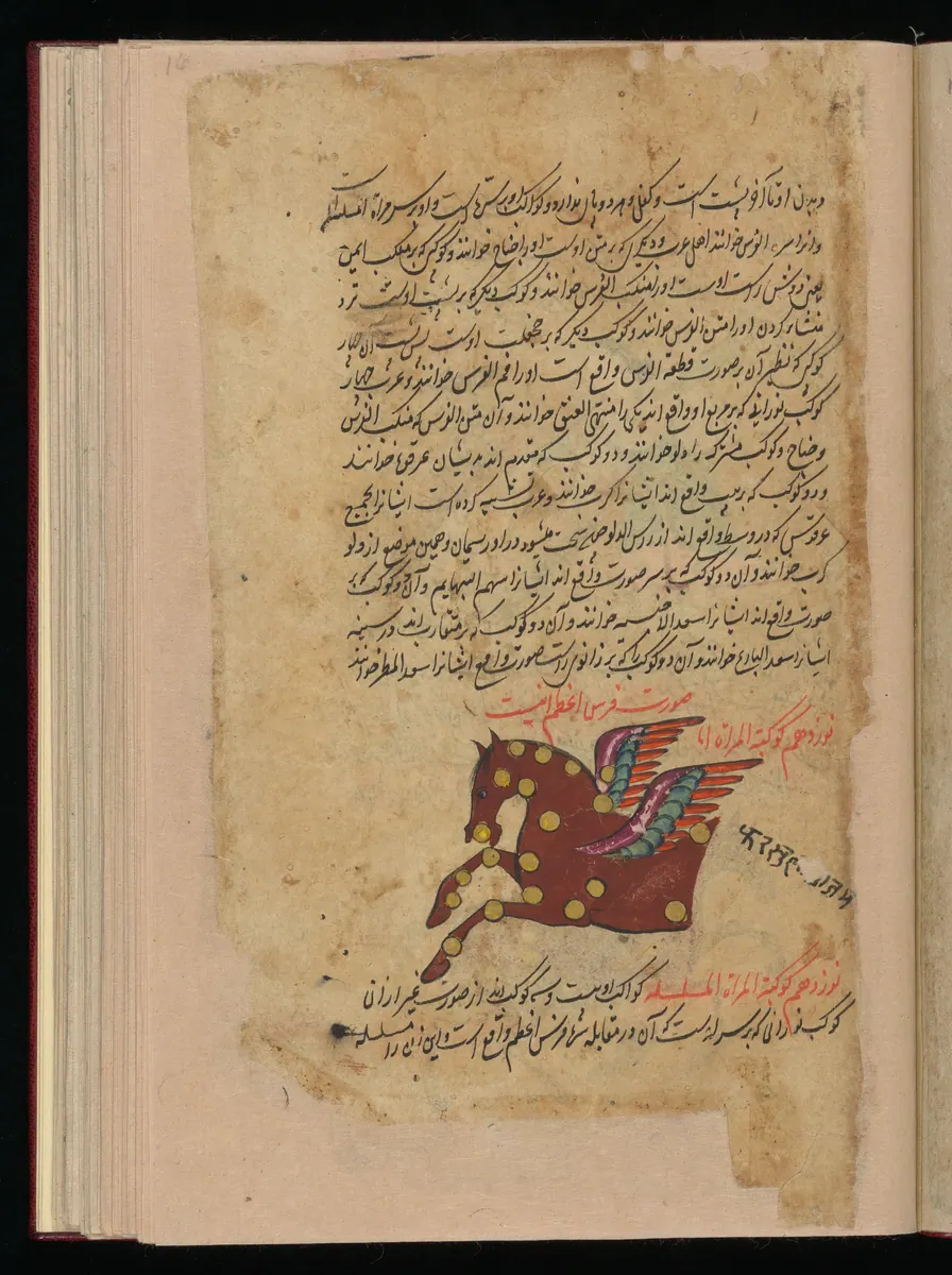Wellcome MS Persian 373, Görsel 202. Wellcome Collection
