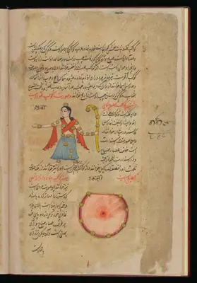 Wellcome MS Persian 373, Görsel 209