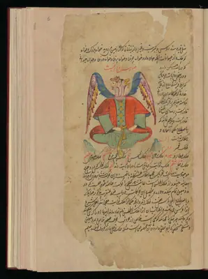 Wellcome MS Persian 373, Görsel 222