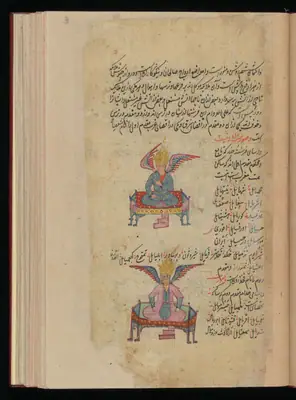 Wellcome MS Persian 373, Görsel 228
